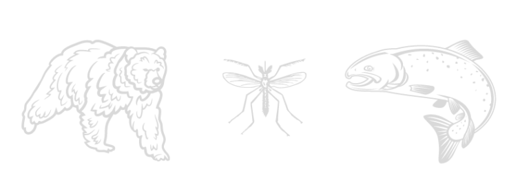 Bear, Salmon, Mosquito